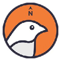 logo-company